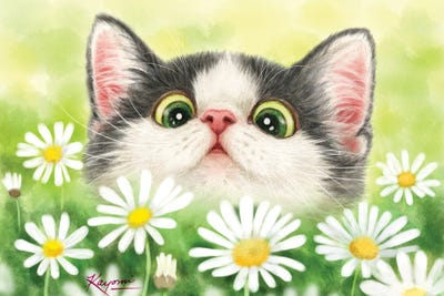 Daisy Garden by Kayomi Harai metal wall art