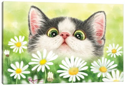 Daisy Garden Canvas Art Print - Kitten Art