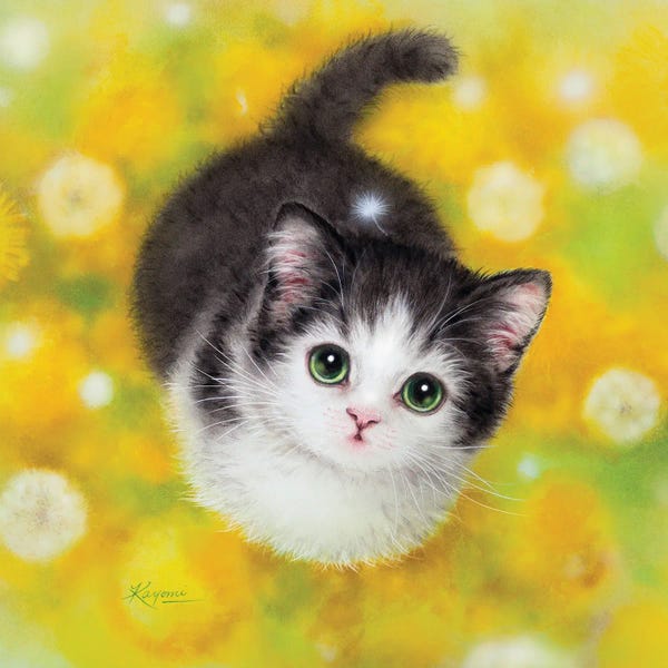 Kayomi Harai: Dandelion by Kayomi Harai