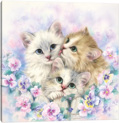 Day Dreamers Canvas Art Print - Kitten Art