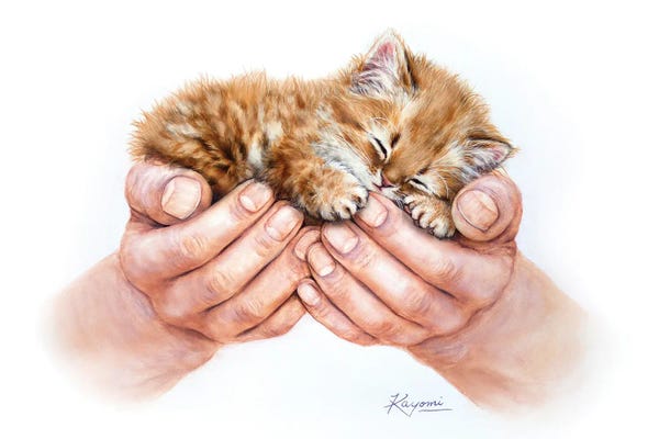 Kayomi Harai: Embrace by Kayomi Harai