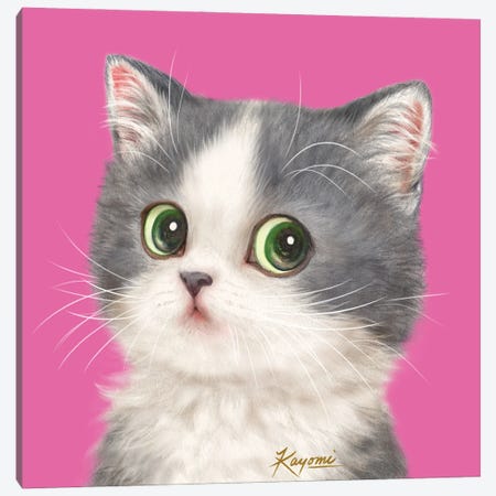 365 Days Of Cats: 24 Canvas Print #KYI17} by Kayomi Harai Canvas Wall Art