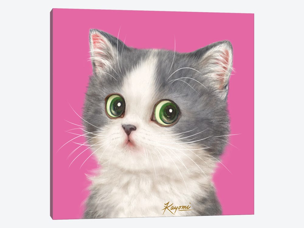 365 Days Of Cats: 24 by Kayomi Harai 1-piece Canvas Print