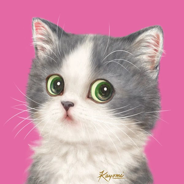 Kittens: 365 Days Of Cats: 24 by Kayomi Harai