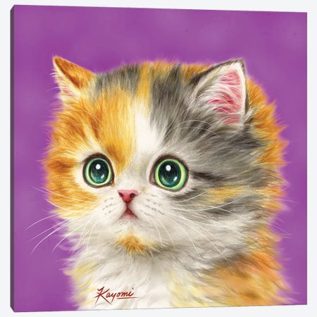 365 Days Of Cats: 28 Canvas Print #KYI19} by Kayomi Harai Canvas Print
