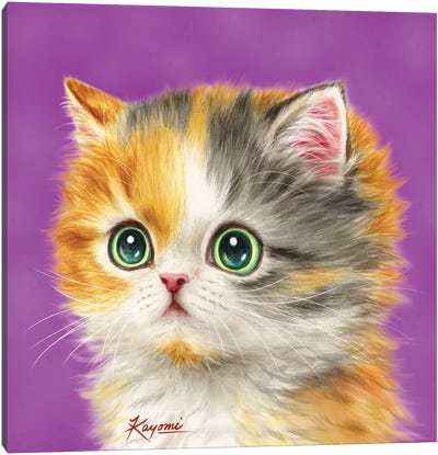 365 Days Of Cats: 28 Canvas Art Print - Kayomi Harai
