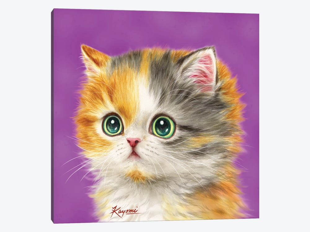 365 Days Of Cats: 28 by Kayomi Harai 1-piece Canvas Print