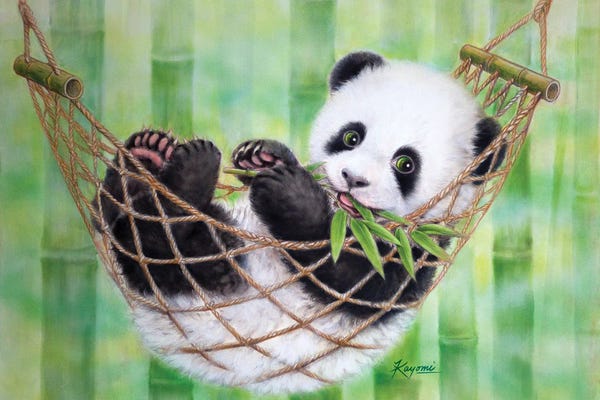 Kayomi Harai: Hammock Panda Green by Kayomi Harai