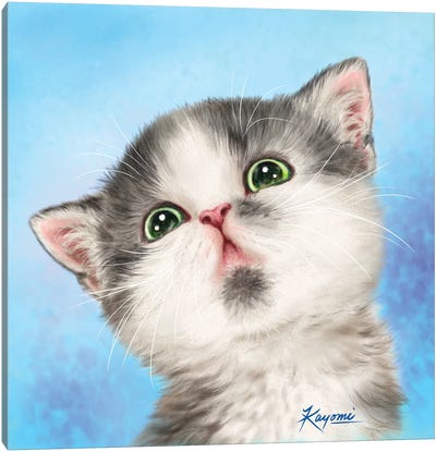 365 Days Of Cats: 30 Canvas Art Print - Kayomi Harai
