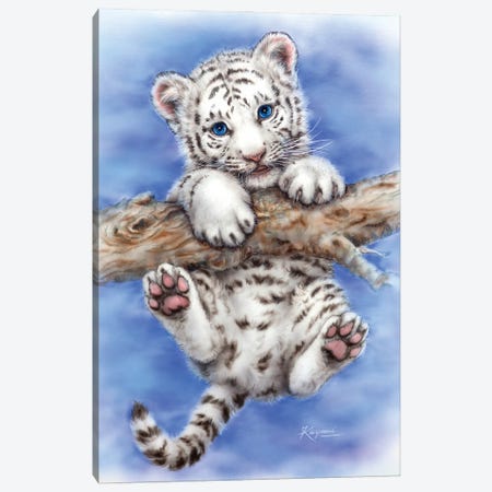 Baby White Tiger Canvas Art Print by Tiny Treasure Prints