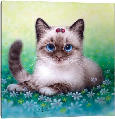 Little Friends Canvas Art Print - Kitten Art