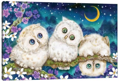 Midnight Adventure Canvas Art Print - Owl Art