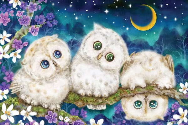 Kayomi Harai: Midnight Adventure by Kayomi Harai