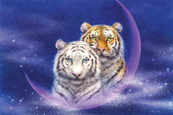 Kayomi Harai: Milky Way by Kayomi Harai