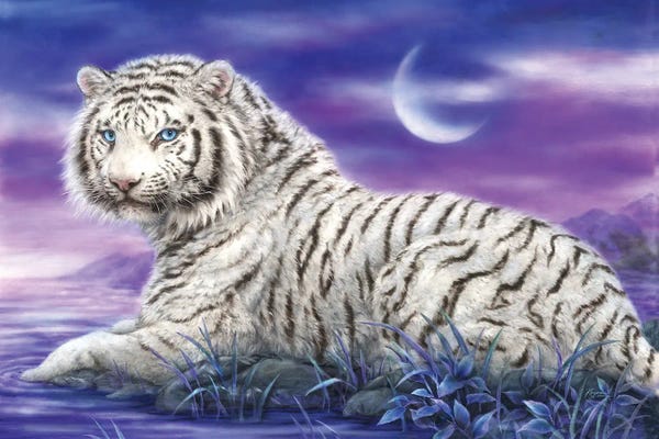 Kayomi Harai: Moon Lake by Kayomi Harai