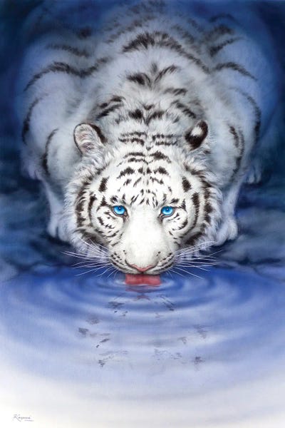 Oasis by Kayomi Harai canvas print