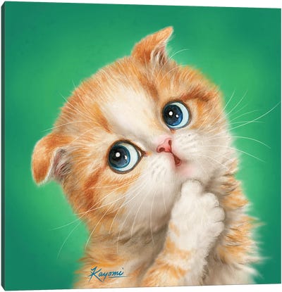 365 Days Of Cats: 51 Canvas Art Print - Kayomi Harai