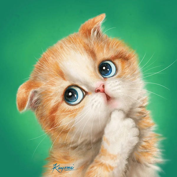 Scottish Folds