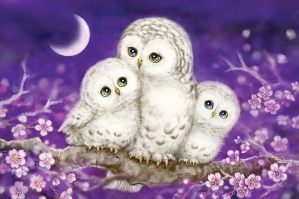 Kayomi Harai: Owl Family by Kayomi Harai