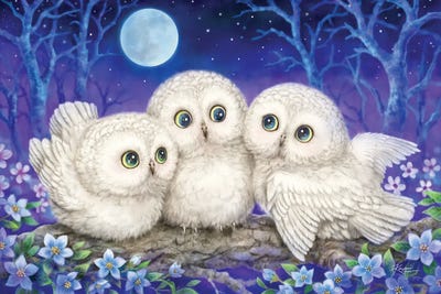 Owl Triplets by Kayomi Harai canvas print