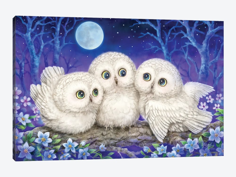 Owl Triplets by Kayomi Harai 1-piece Canvas Art Print