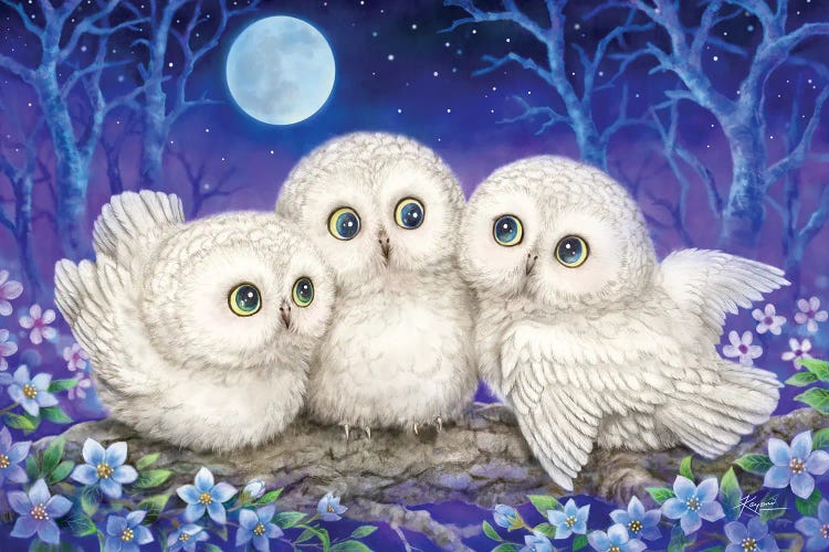 Owl Triplets