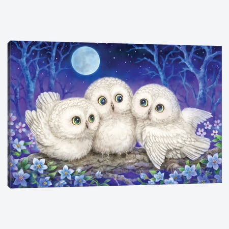 Owl Triplets Canvas Print #KYI261} by Kayomi Harai Canvas Print