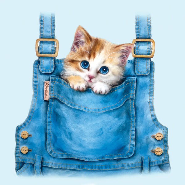 Kayomi Harai: Pocket Greeting by Kayomi Harai