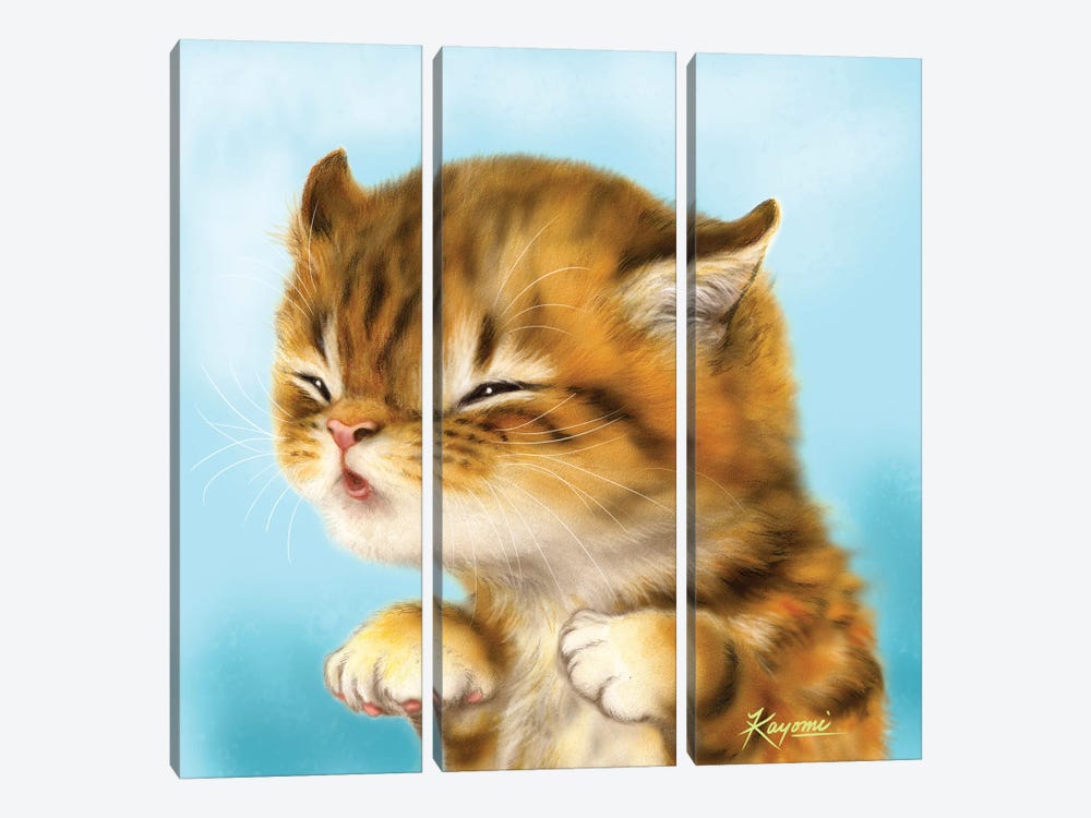 365 Days Of Cats: 53 by Kayomi Harai 3-piece Canvas Wall Art
