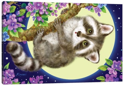 Raccoon In The Moonlight Canvas Art Print - Raccoon Art