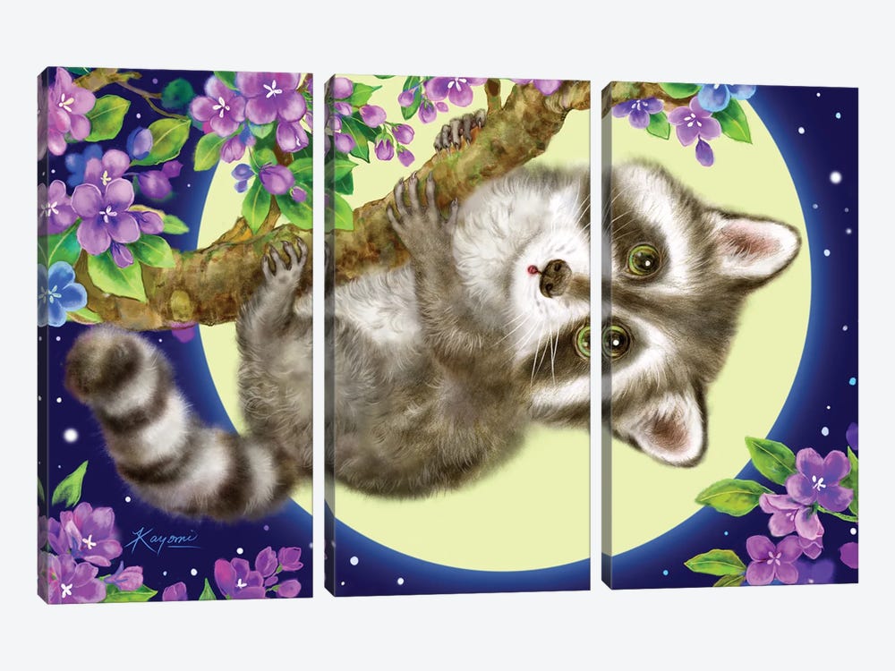 Raccoon In The Moonlight by Kayomi Harai 3-piece Canvas Art