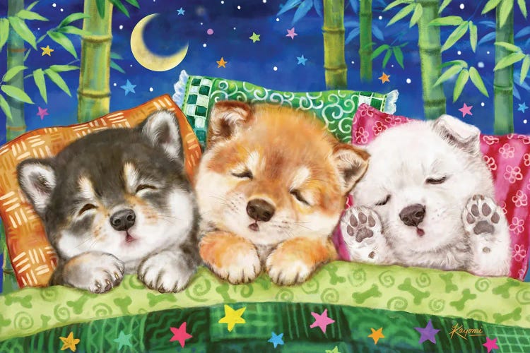 Shiba Puppies Happy Dream