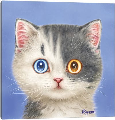 365 Days Of Cats: 2 Canvas Art Print - Kayomi Harai