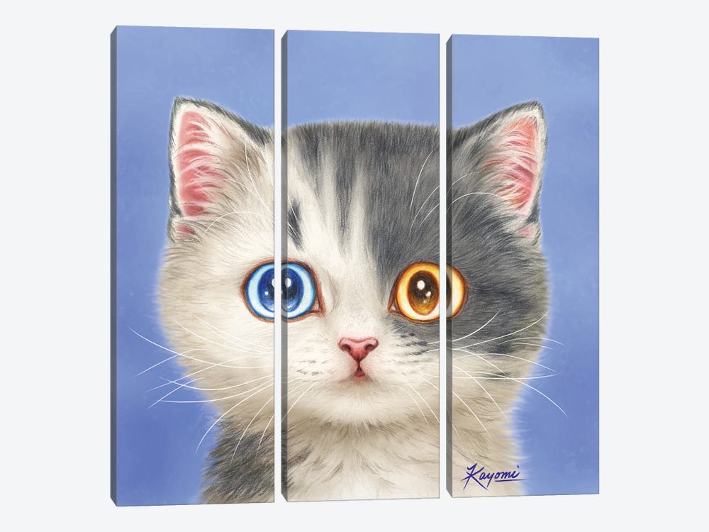 365 Days Of Cats: 2 by Kayomi Harai 3-piece Canvas Art