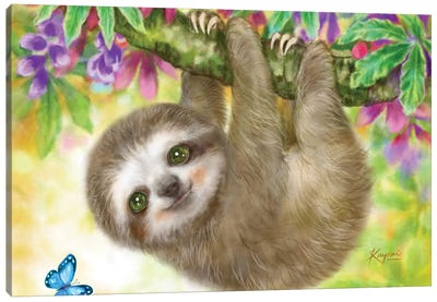 Sloth Baby Hanging From Branch Canvas Art Print - Kayomi Harai
