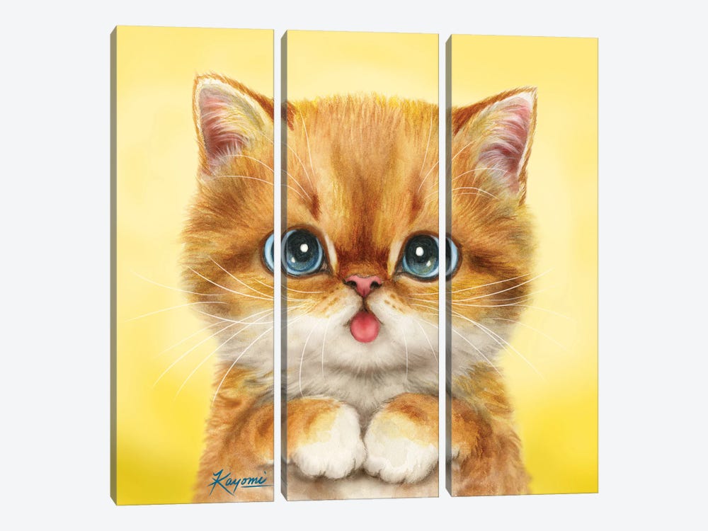 365 Days Of Cats: 59 by Kayomi Harai 3-piece Canvas Art