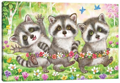 Three Raccoons Canvas Art Print - Raccoon Art