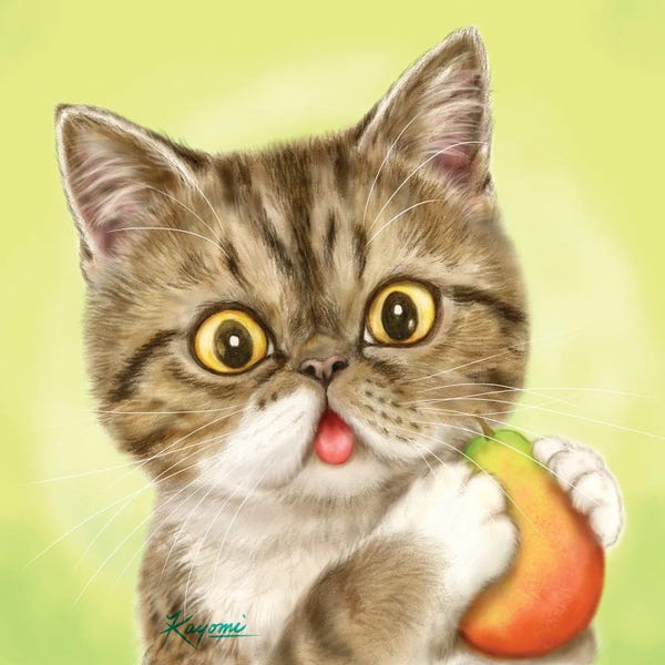 Kayomi Harai: 365 Days Of Cats: 64 by Kayomi Harai