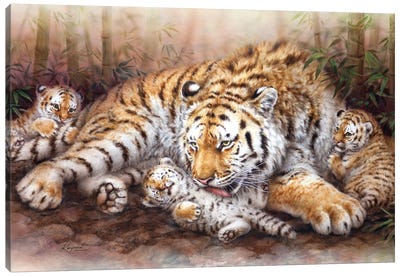 Tiger Family Canvas Art Print - Kayomi Harai
