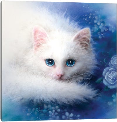 White Lady Canvas Art Print - Kitten Art