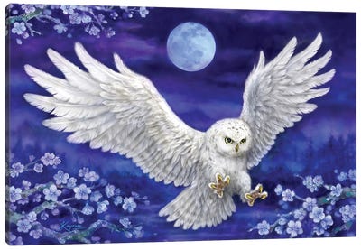 White Owl Canvas Art Print - Kayomi Harai
