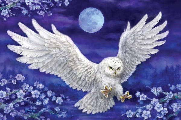 Kayomi Harai: White Owl by Kayomi Harai
