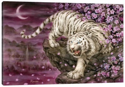 White Tiger Cherry Blossoms Canvas Art Print - Kayomi Harai