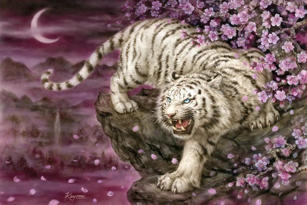 Kayomi Harai: White Tiger Cherry Blossoms by Kayomi Harai