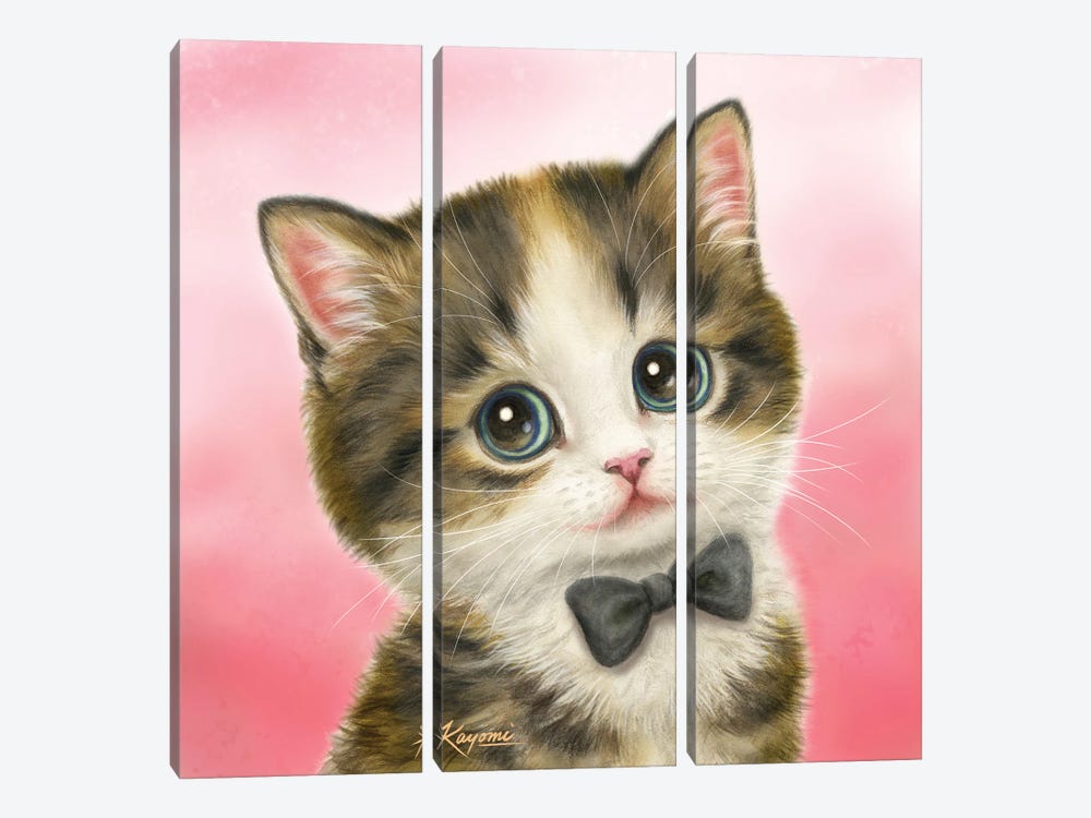365 Days Of Cats: 67 by Kayomi Harai 3-piece Canvas Art Print