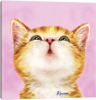 365 Days Of Cats: 3 Canvas Art Print - Kitten Art