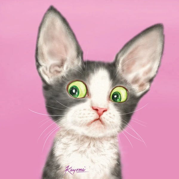 Kittens: 365 Days Of Cats: 107 by Kayomi Harai