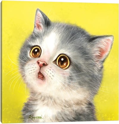 365 Days Of Cats: 113 Canvas Art Print - Kayomi Harai