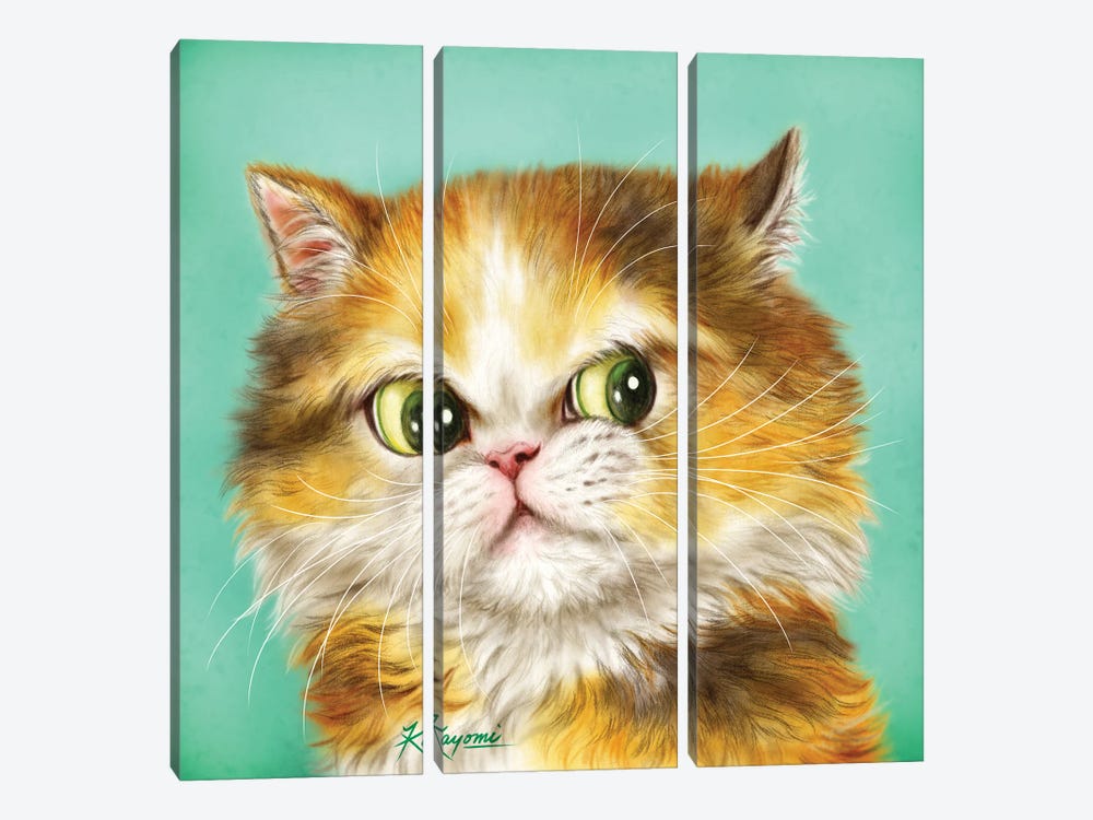 365 Days Of Cats: 123 by Kayomi Harai 3-piece Canvas Wall Art