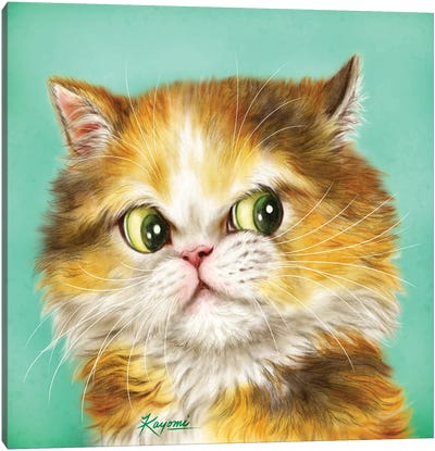 365 Days Of Cats: 123 Canvas Art Print - Kayomi Harai